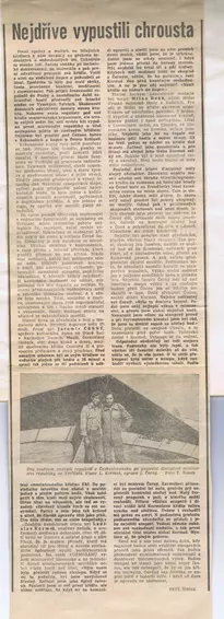 Nejdříve vypustili chrousta